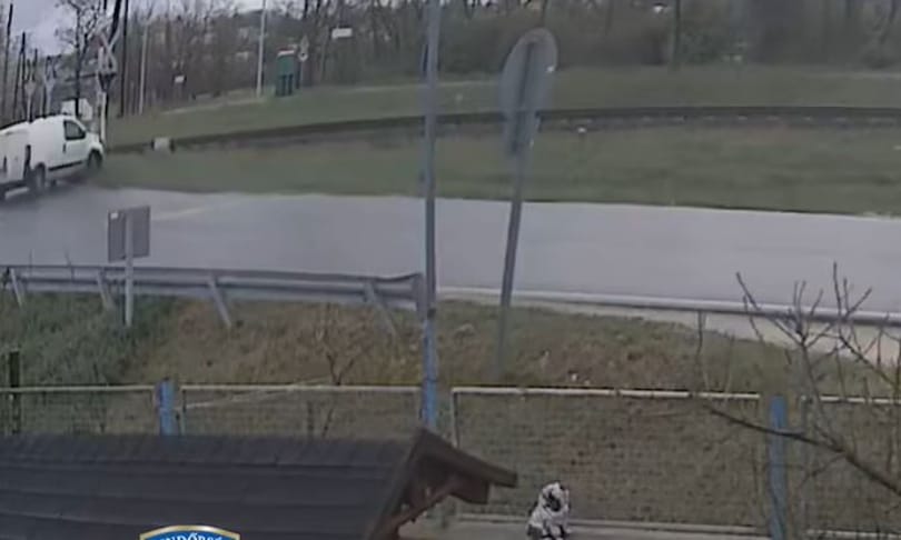 Keresik a furgonost, aki „piruettezve