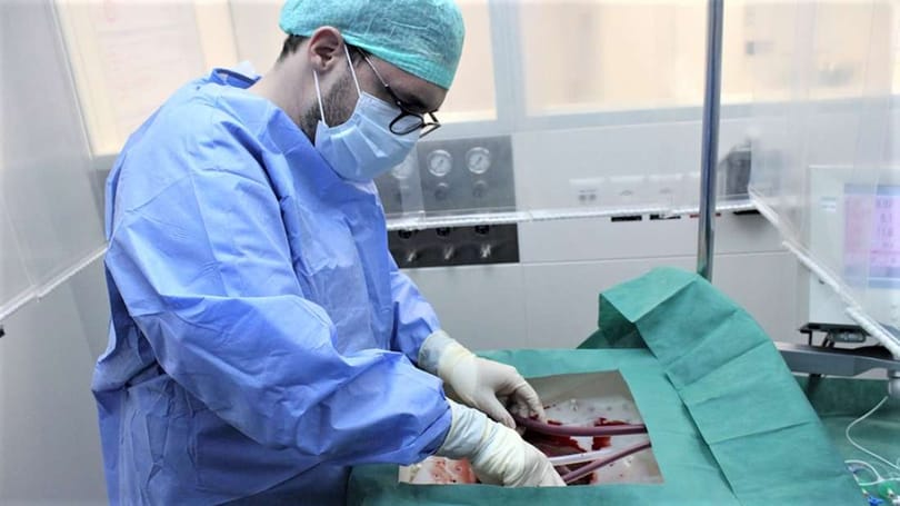 Meggyógyítja és egy hétig óvja a testen kívüli májat egy új orvosi eszköz