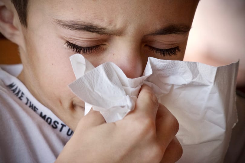 Van valamilyen allergiája? Most örülhet, mert lehet, hogy így kisebb valószínűséggel lesz covidos