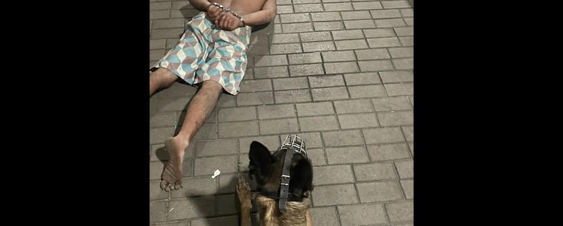 Megerőszakoltak egy nőt Pomázon, de le tudták fotózni a tettest