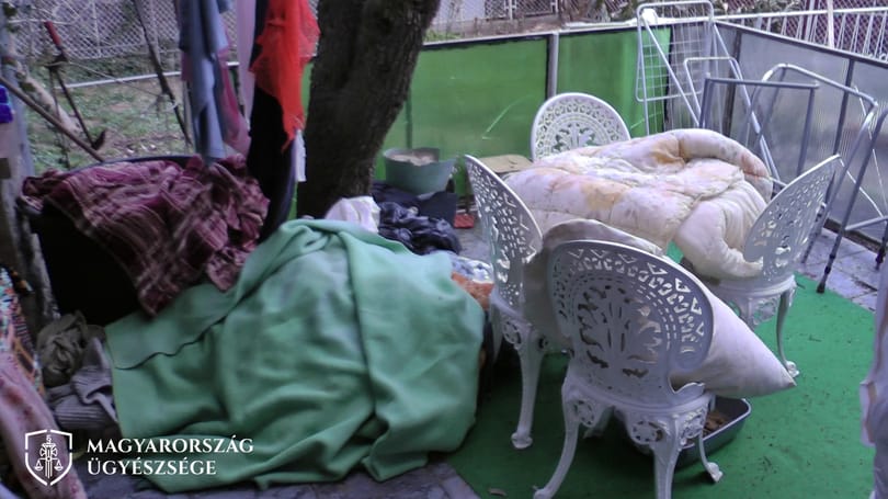 Ágyhoz kötözték az embereket, akik rendszeresen rühesek voltak egy kaposvári nő illegális idősotthonában