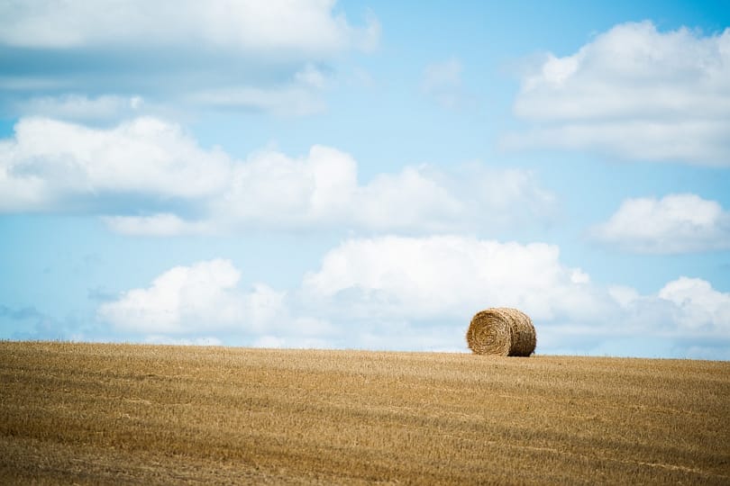Kedden megkezdődött az állami földek értékesítése