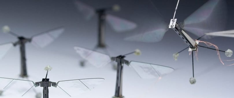 Megmenthetik a világot, de mézet ne várjunk a robotméhektől