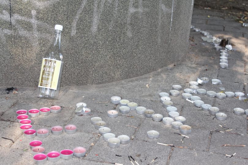 Koszos és gazdátlan a frissen megkeresztelt Elvis Presley park