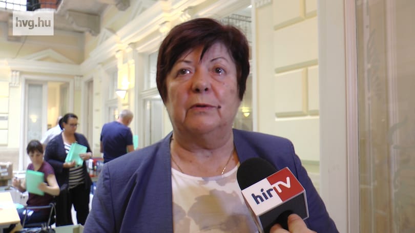 Nem nagyon érti Pálffy Ilona, miért gond, hogy csak döcög az NVI honlapja – videó