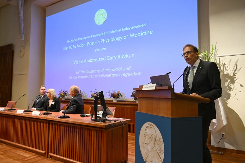 Közbeszólt az időeltolódás: csak az egyik Nobel-díjasnak tudták megmondani, hogy megkapja az elismerést