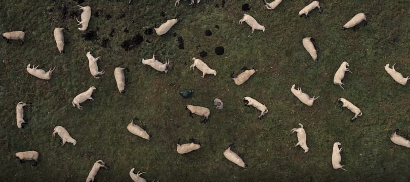 A németek is előálltak egy Twin Peaks/Stranger Things hangulatú sorozattal
