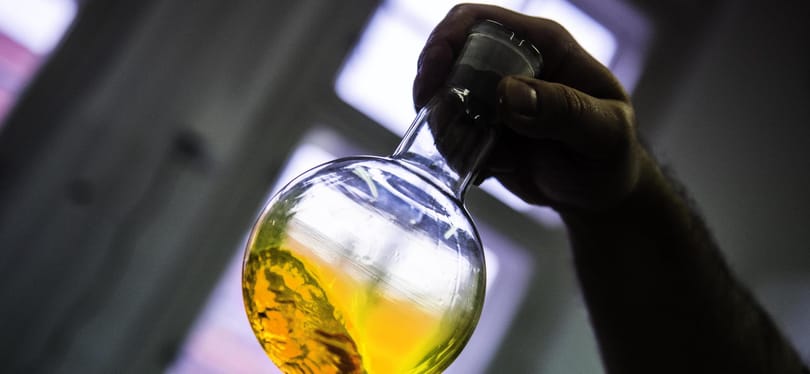 A sztrájktól sem riadnának vissza a tiszavasvári Alkaloidánál