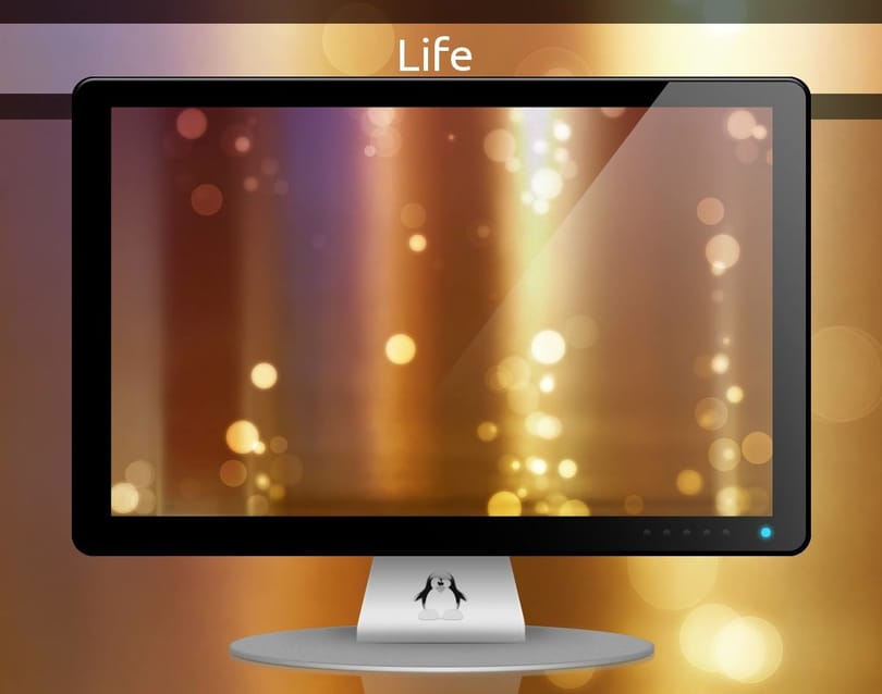 Mai háttérkép: Life