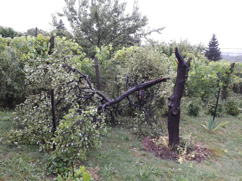 Viharkárok: 20 ezer bejelentés, 2 milliárdos kárérték