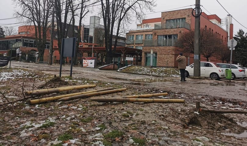 Engedély nélkül, értelmetlenül vágtak ki több frissen ültetett fát a Rómain, a rendőrség intézkedik