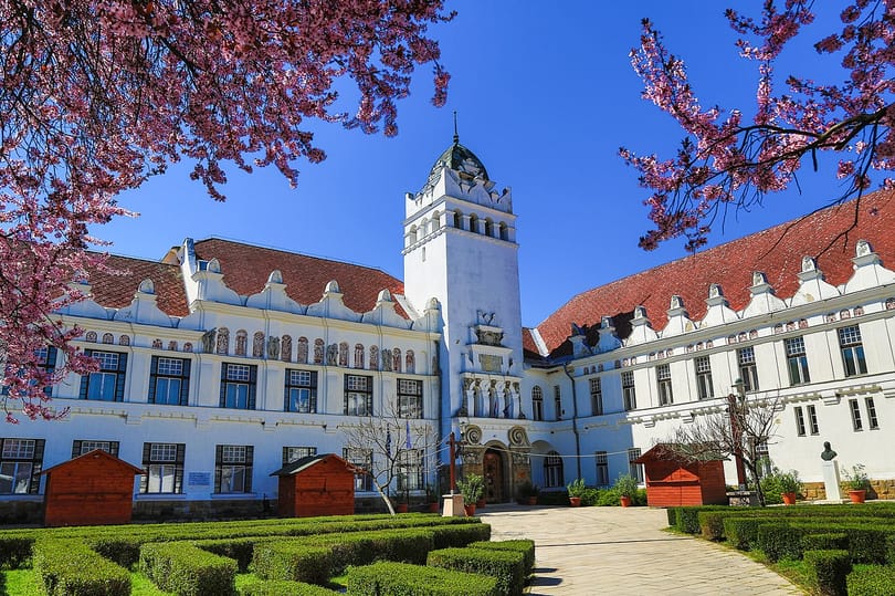 Felmentették a Tokaj-Hegyalja Egyetem rektorát