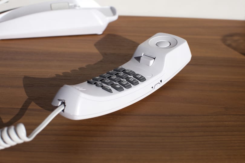 Telefonon kérdezi az embereket a kormány: Toroczkai, Dobrev, Magyar vagy Orbán a legalkalmasabb miniszterelnöknek?