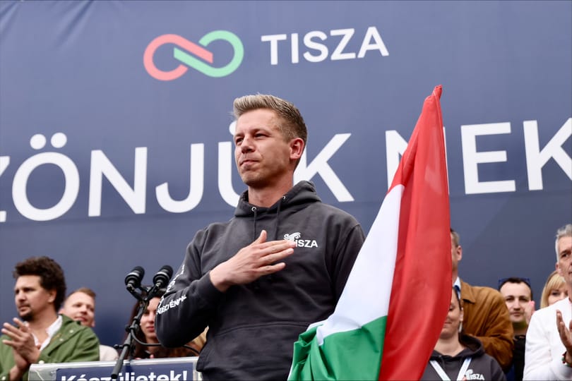 Magyar Péter tavaly 51-szeresére növelte tanácsadó cége nyereségét
