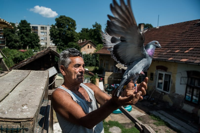 Brüsszelnek nem tetszik, ahogy Miskolc kiüríti a számozott utcákat