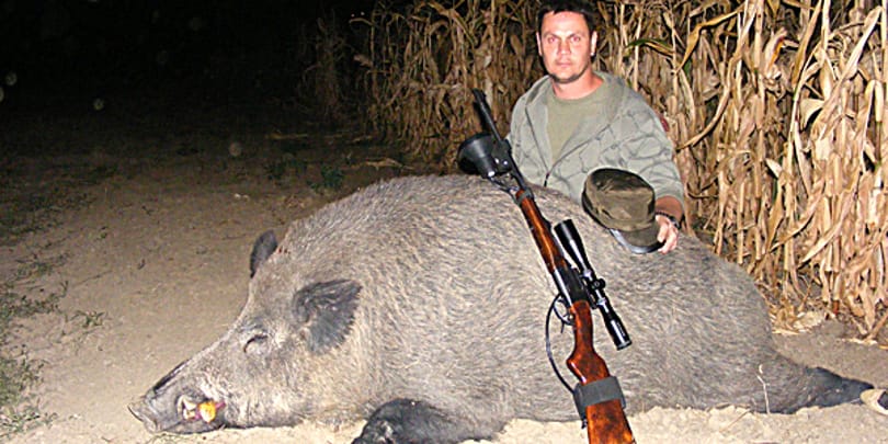 Fotó: gigantikus vadkant lőttek Baranyában
