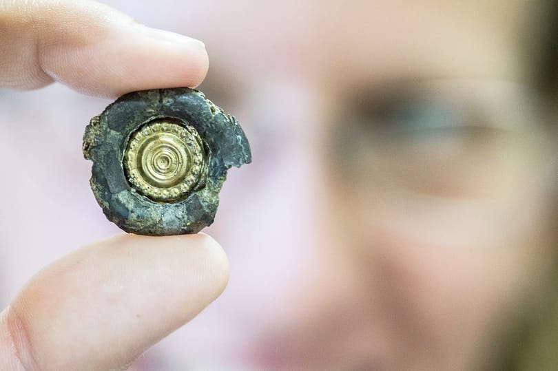 Fotó: Avar kardot és szkíta ékszert is találtak Kecskemétnél