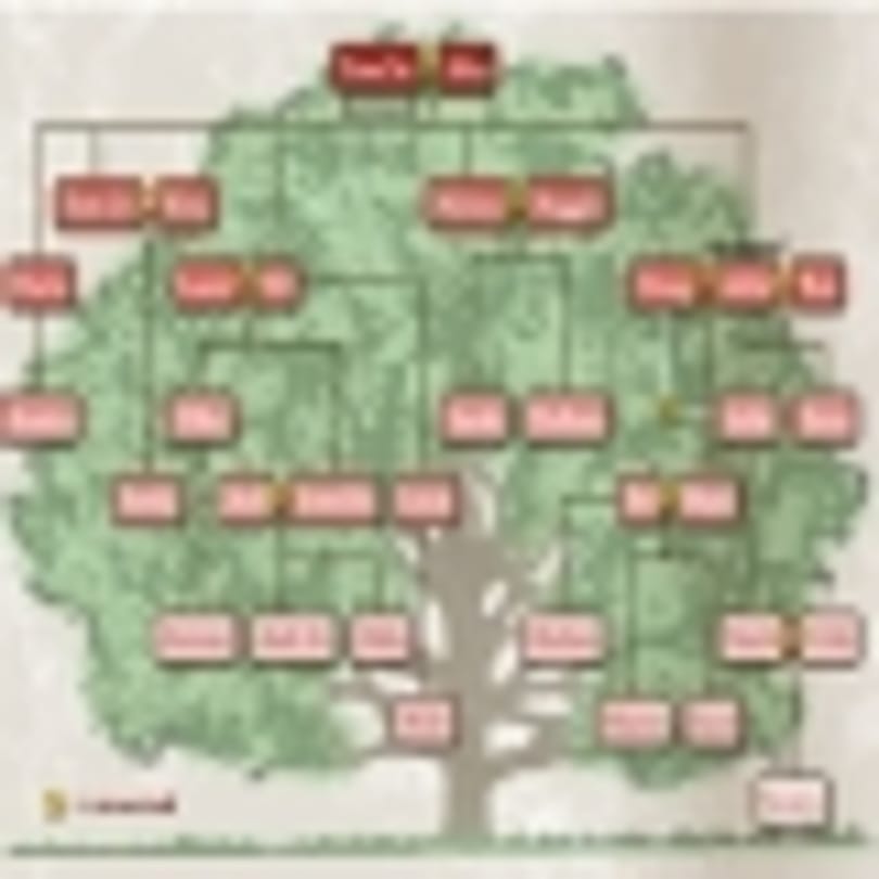 Szoftverek családfakutatáshoz 