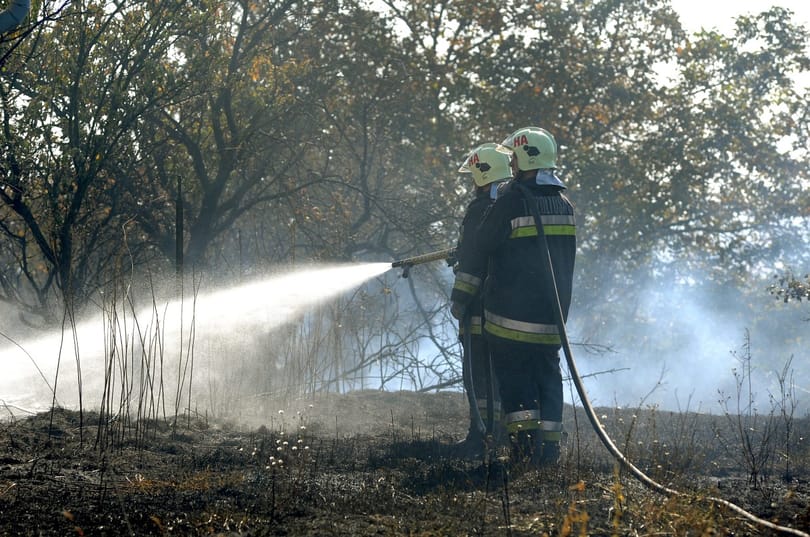 Erdők, mezők, nádasok állnak lángban