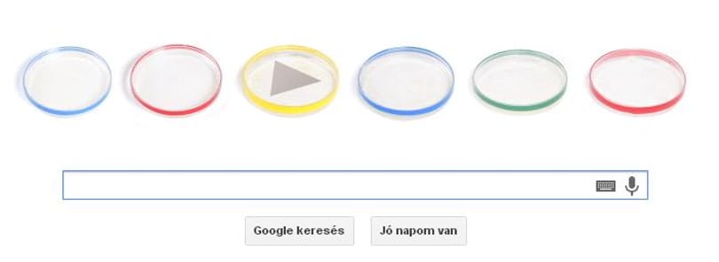 Nem Orbán szülinapját ünnepli a Google