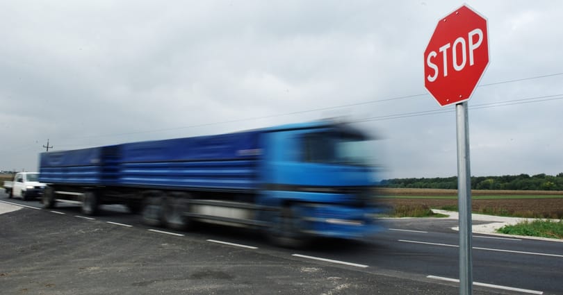 Száguldó autók között mentettek a rendőrök szökött kiskutyákat