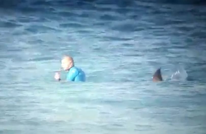 Élő adásban támadt cápa egy ausztrál szörfbajnokra – videó