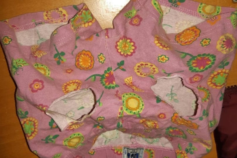 Az én hetem: Karafiáth Orsolya gatyameséje