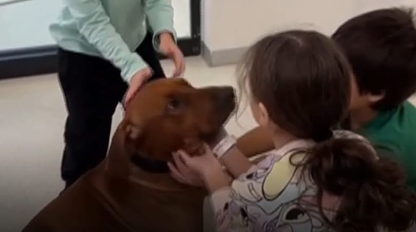 „Veled már senki nem törődik” – súlyos traumákat szenvedtek a gyerektúszok a Hamász fogságában