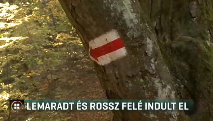 Lemaradt és rossz felé indult a túrázó diák a Bakonyban, rendőrök találtak rá