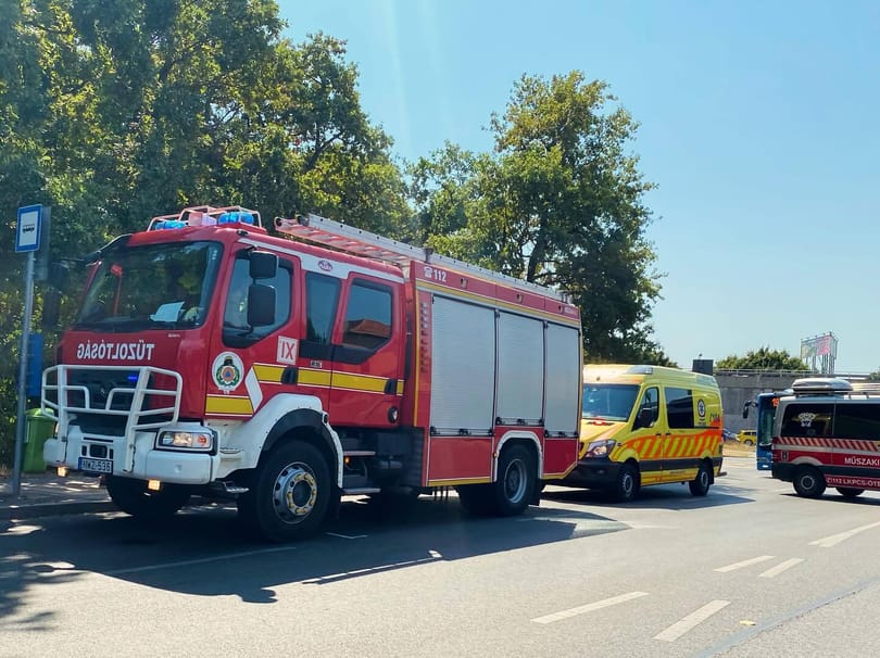 Kigyulladt egy erdő Ferihegynél