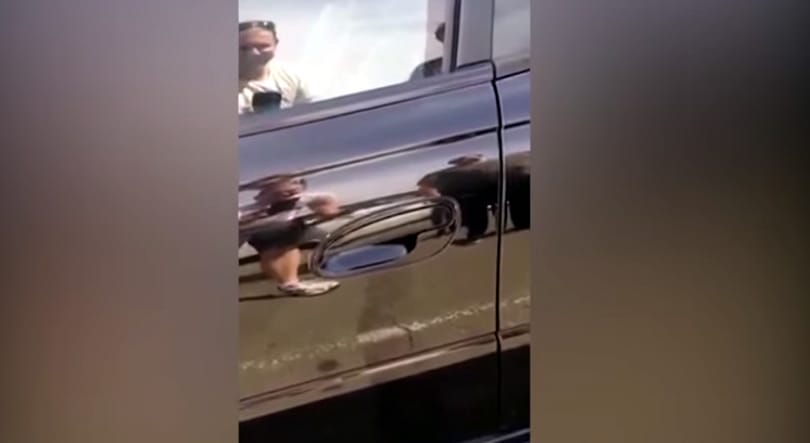 Videó: mit csinál, amikor egy ilyen meglepetés várja a kocsijánál?