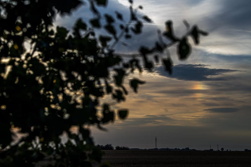 Csodaszép halót lőttek Debrecennél - fotó