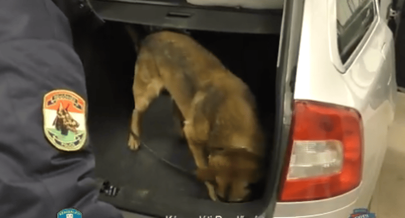 Nem voltak valami rafkósak ezek a drogcsempészek – videó
