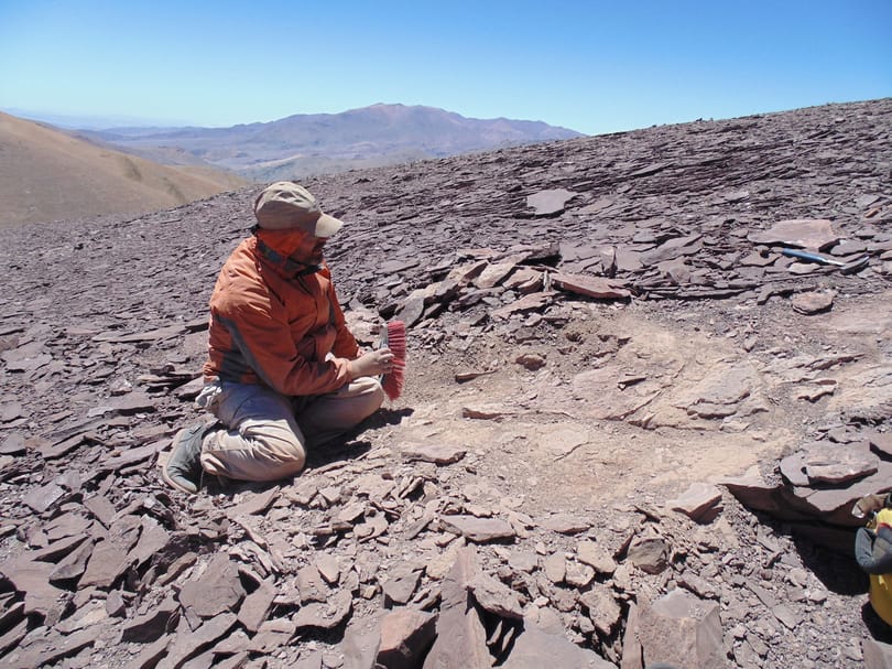100+ millió éves, nagyon ritka „temetőt” fedeztek fel az Atacama-sivatagban