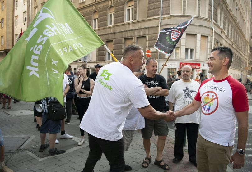A Fidesznek kell a centrális erőtér, ezért nem olyan ellenséges a Mi Hazánkkal