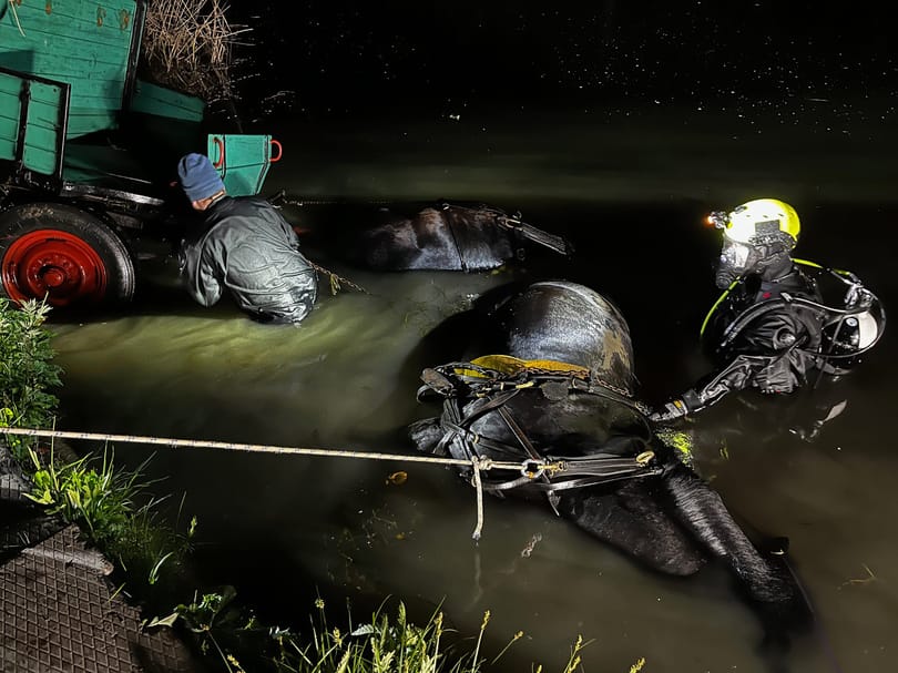 Lovaskocsi hajtott a Duna-Tisza-csatornába, megfulladtak a lovak