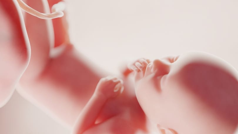 Méh nélkül született, ma már gyereket vár a méhtranszplantáción átesett nő