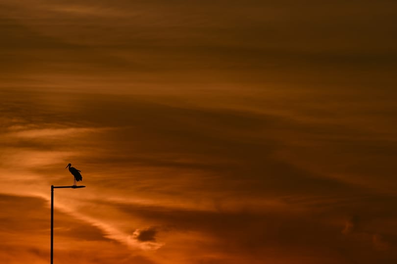 Ma van az év egyik legkülönlegesebb napja, ma lesz a legrövidebb az éjszaka