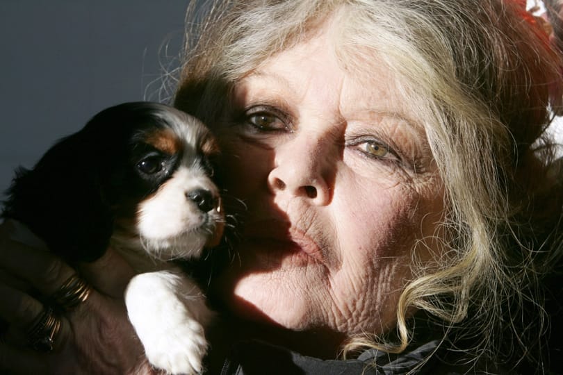 Brigitte Bardot levelet írt Orbán Viktornak