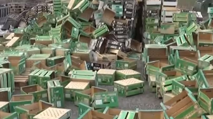 Zöldséges bűnszervezetet kapcsolt le a NAV