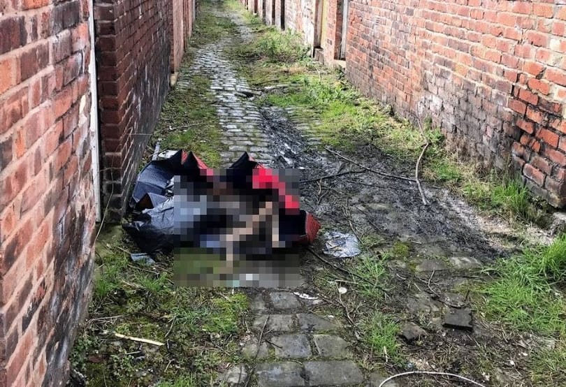 Angliában élő állatkínzó magyarokat ítélt el a bíróság