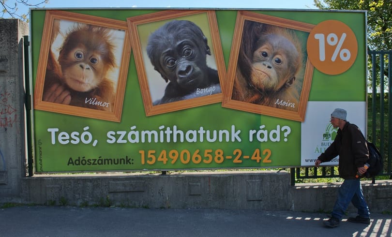 123 millió kéne az Állatkertnek a túléléshez