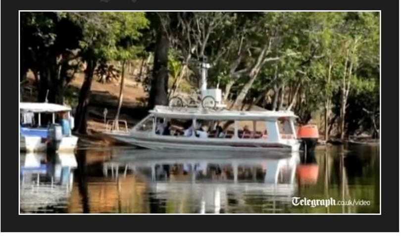 Nézze meg Brazília esőerdőit a Google Street View-val! [videóval]