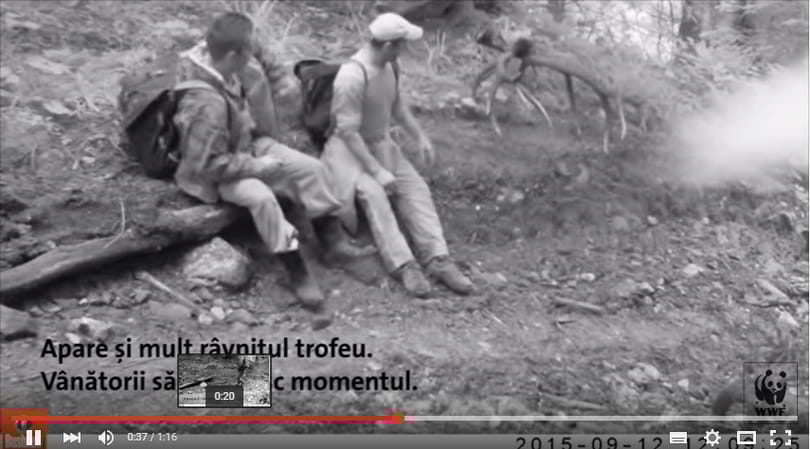 Orvvadászokat buktatott le egy kamera – videó