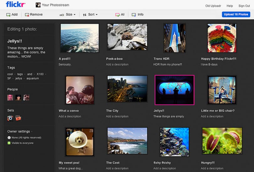 Megújult a Flickr: HTML5 alapú fotófeltöltés
