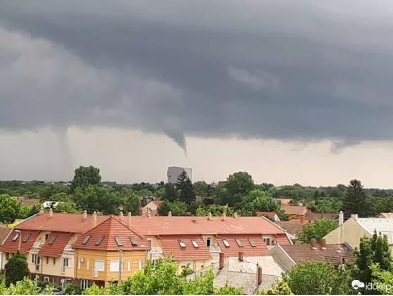 Több tuba is kialakult Csongrád megyében - fotók
