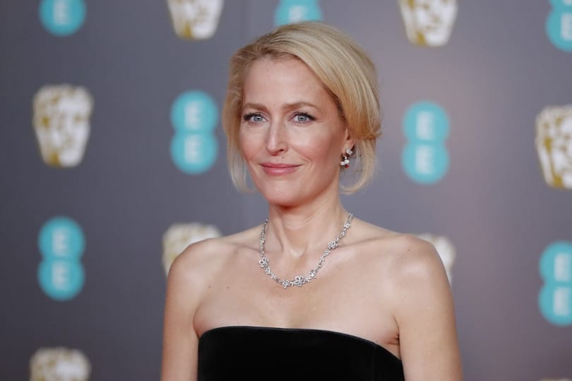 Gillian Andersont nem érdekli, ha a mellei a köldökéig érnek, akkor sem vesz fel melltartót