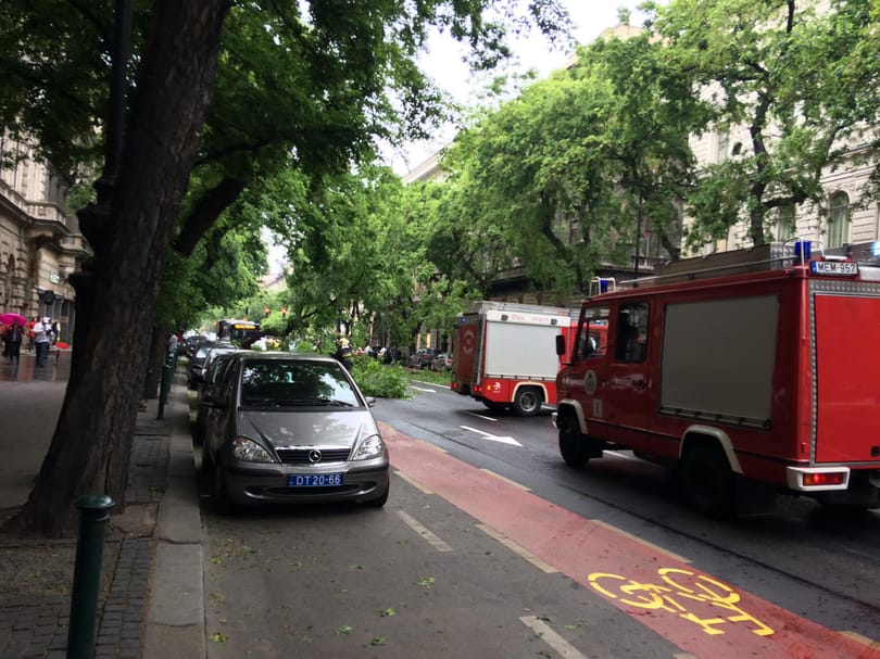 Egy fa kidőlt az Andrássyn, lezárja az egész utat - képekkel