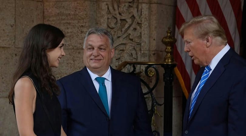 Osztrák gazdasági elemző: Orbán Viktor lehet az EU titkos vámfegyvere