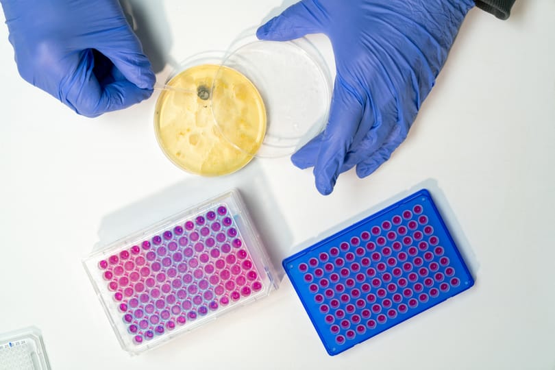 60 év után jöhet az első új antibiotikum